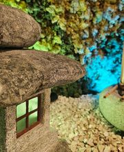 Acupuntura em Brasília - Eli Formiga imagen 11