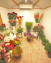 Jardinerie Fleuristerie Hämmerli SNC Bild 8