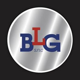 Blg Saldature logo