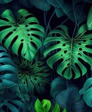 LEAF PAYSAGE image 1