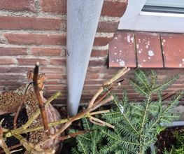 Riool Direct Brabant afbeelding 7