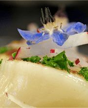 Café du Levant Bild 11