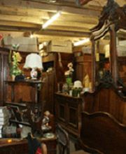 Martin Didier image 1