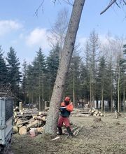 Gartenlandschaftsbau Ebert Bild 1