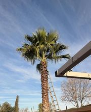 Expert Paysage 34 image 1