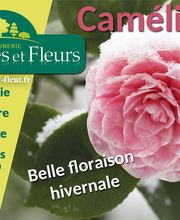 Arbres Et Fleurs Vitry image 3