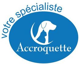 Accroquette