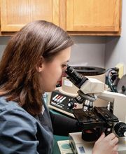 Rockford Veterinary Clinic image 4