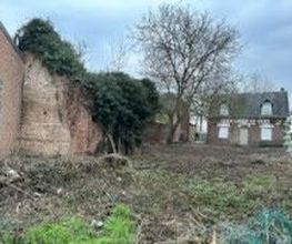 Roye Garden image 16