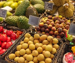 Obst und Gemüse
Unser erstes Aushängeschild des Marktes ist das Obst und Gemüse. Jeden Tag frisch für Sie und natürlich auch mit einer Auswahl an saisonalen Produkten wie Erdbeeren oder Spargel. Besonders stolz sind wir auf unsere nachhaltige Vielfalt an Bio- und Demeterprodukten. Bester Geschmack, beste Qualität. Exoten gehören bei uns genauso dazu wie Schalenfrüchte. Sehen Sie sich auch die große Vielfalt an Kräutern an. Ob für einen frischen Quark oder eine würzige Mahlzeit – es ist alles da! Und für die Liebhaber frischer, gesunder Mahlzeiten haben wir zusätzlich eine vielseitige Salatbar, die keine Wünsche offenlässt.
