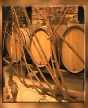 Domaine Des Marronniers SCEV image 1