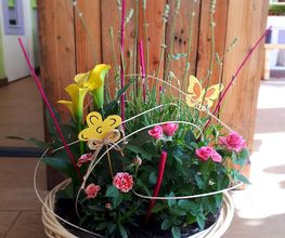 Marion les Fleurs image 9
