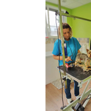 Artist'O Chien image 8