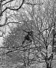 Helchit Paysage Bild 12