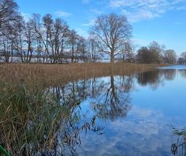 Ferienhaus am Fluss Bild 3