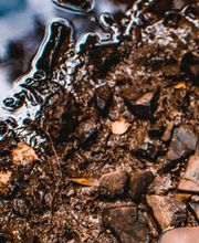 ZeroDrop foot shaped shoes Bild 3