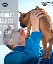 Westwood Regional Veterinary Hospital image 16