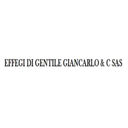 Effegi logo