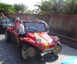 _copie-0_DSC01315.jpg