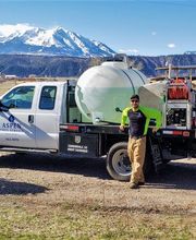 Aspen Tree Service - SavATree image 4