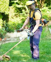 Articoop services image 1