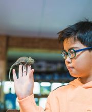 AmaitaVet Clínica Veterinaria imagen 7