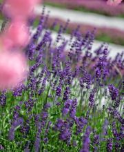 Hess Galabau AG Bild 1