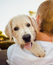 Garner Hotel Elmshorn by IHG Bild 10