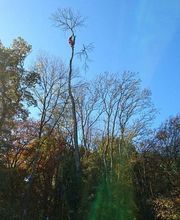 Pierre Elagage et Paysage image 3