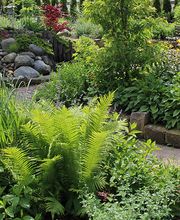 Glende Gartenbau GmbH Inh. Gabriela & Kevin Riege Bild 3