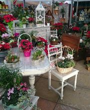 Jardinerie Champs Fleurs image 13