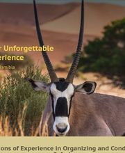 Hochhäuser Webdesign Bild 6