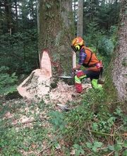 Winterhalterhof Bild 9