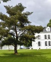 Logis Hostellerie le Châtel image 2