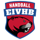 Entente Igny Vauhallan Hand Ball