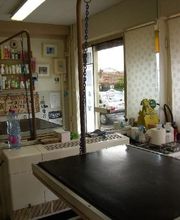 Aline Toilettage image 18