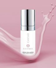 Golden Fox Institut Bild 10