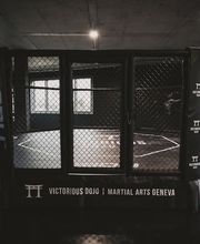 Victorious Dojo Bild 5