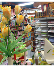 Papier Pfeiffer Bild 5