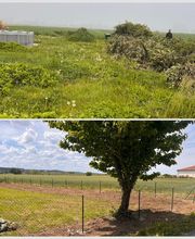 Entretien Jardin 47 image 9