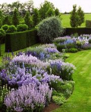 t & t André Tanner Bild 8