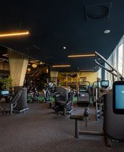 David Lloyd Amsterdam afbeelding 8