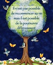 Collet-Maussan Christelle image 10