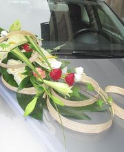 Il Etait Une Fleur image 12