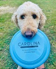 Carolina Orthodontics & Children's Dentistry image 14