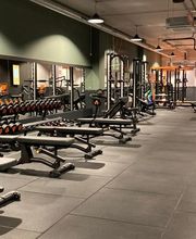 Vista general peso libre