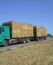 Stefan Kapsner GmbH Bild 9