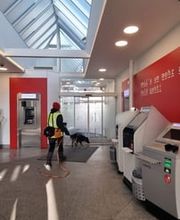 KaNi.Dogs-Olpe Mantrailing meets Fun Bild 10