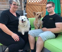 Teamwalk-Hundetrainer Bild 5