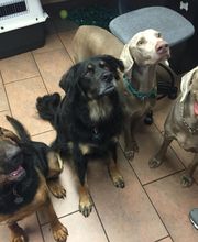 Parrett Veterinary Clinic image 6